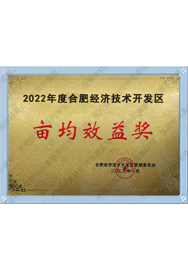 2022年度合肥经济手艺开发区亩均效益奖