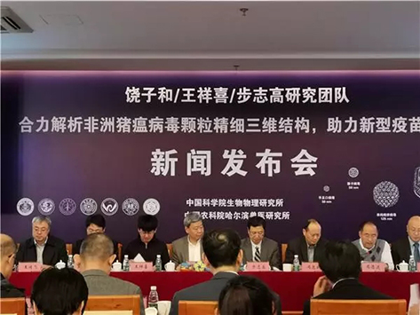 新闻动态 - 信息果真 - 壹号娱乐