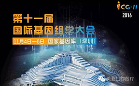 新闻动态 - 信息果真 - 壹号娱乐
