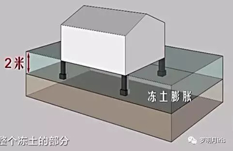 新闻动态 - 信息果真 - 壹号娱乐