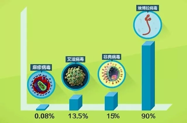 新闻动态 - 信息果真 - 壹号娱乐